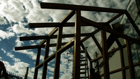 polis grows green - workshop polis grows green - workshop