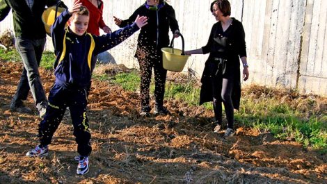 Urbanistica-e-Decrescita-terre-forti