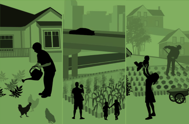 Illustrazione di Seeding the City, NPlan Changelab Solutions.