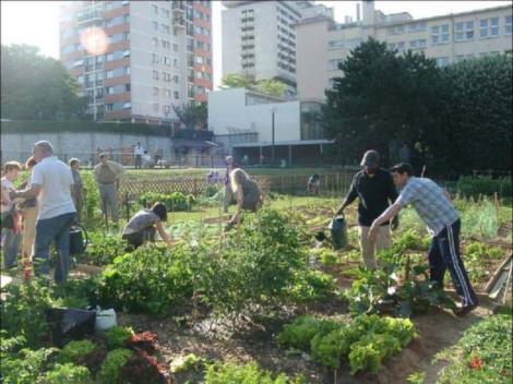 Community Garden
