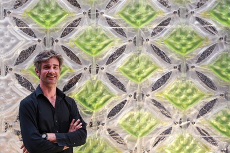 Picture Courtesy Cesare Griffa through www.cesaregriffa.com