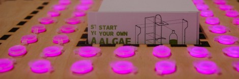 Picture Courtesy Cesare Griffa through www.cesaregriffa.com