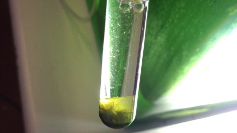 Picture Courtesy Cesare Griffa through www.cesaregriffa.com