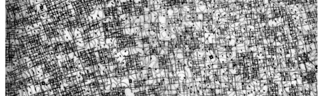 faf_la città isotropa