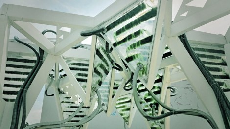 image courtesy @ecoLogicStudio