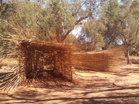 nido paduli bio onoff