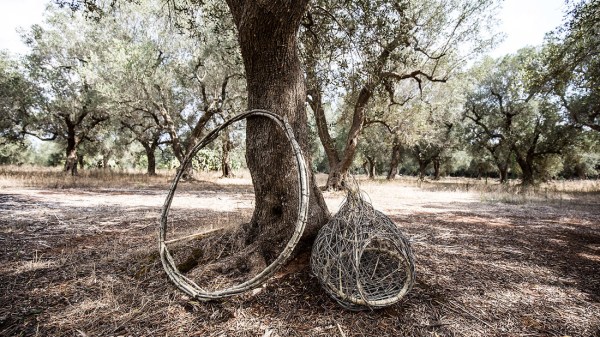 nzhidda abitareipaduli bio onoff