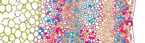 cover BIO on/off magazine