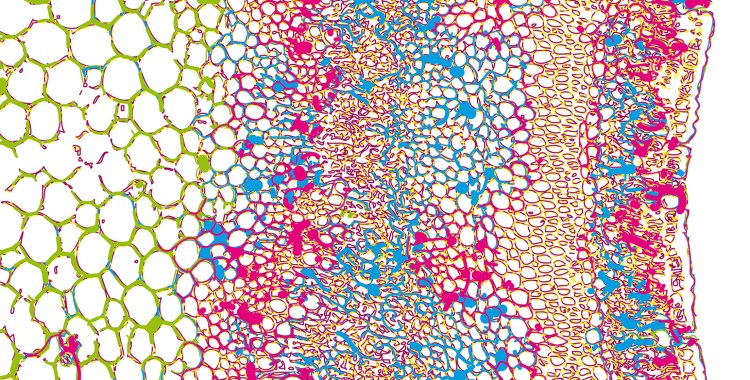 cover BIO on/off magazine