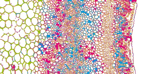 cover BIO on/off magazine