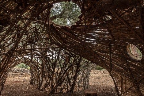 tana paduli dem bio onoff