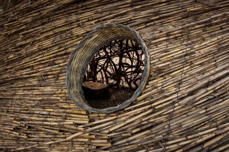 La tana paduli bio onoff