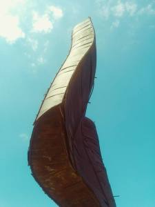 10322741_863434450408390_1339837349341991796_n