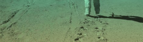 cover imparare dalla luna