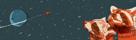 cover interstellar raccoons