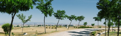 Forest Park, 2015. Photographer: Imagen Subliminal/Miguel de Guzman. Courtesy of Israel Alba Architect