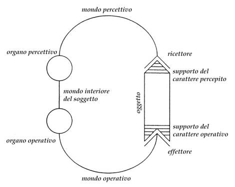 17269203_10211169375142048_594182524_o
