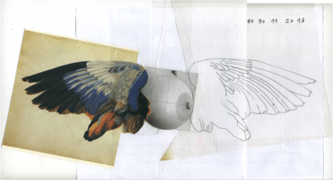 17759427_10211151316754633_1436008050_o